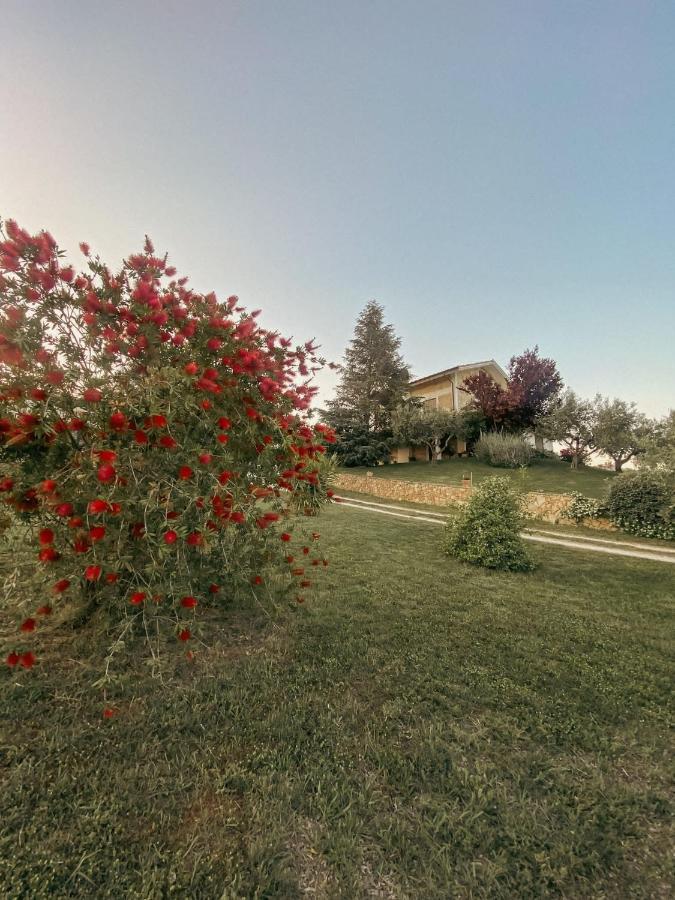 Bed & Breakfast Le Coccinelle Bed & Breakfast Rosciano  Екстериор снимка